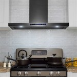 30 Wall Mount Range Hood