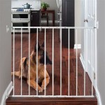 Wall Mounted Sliding Dog Gate