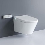 Wall Mounted Toilet With Bidet